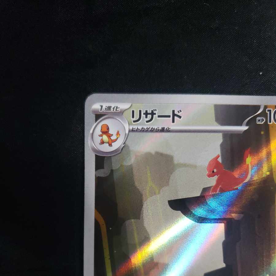 リザード AR 169/165