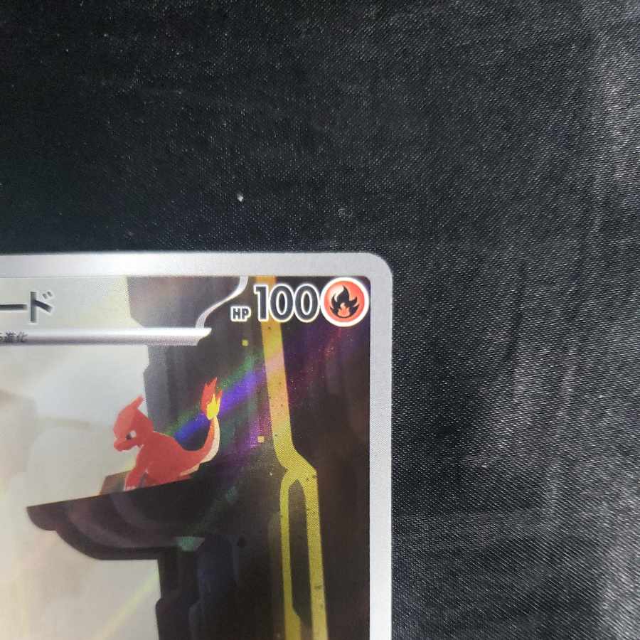 リザード AR 169/165