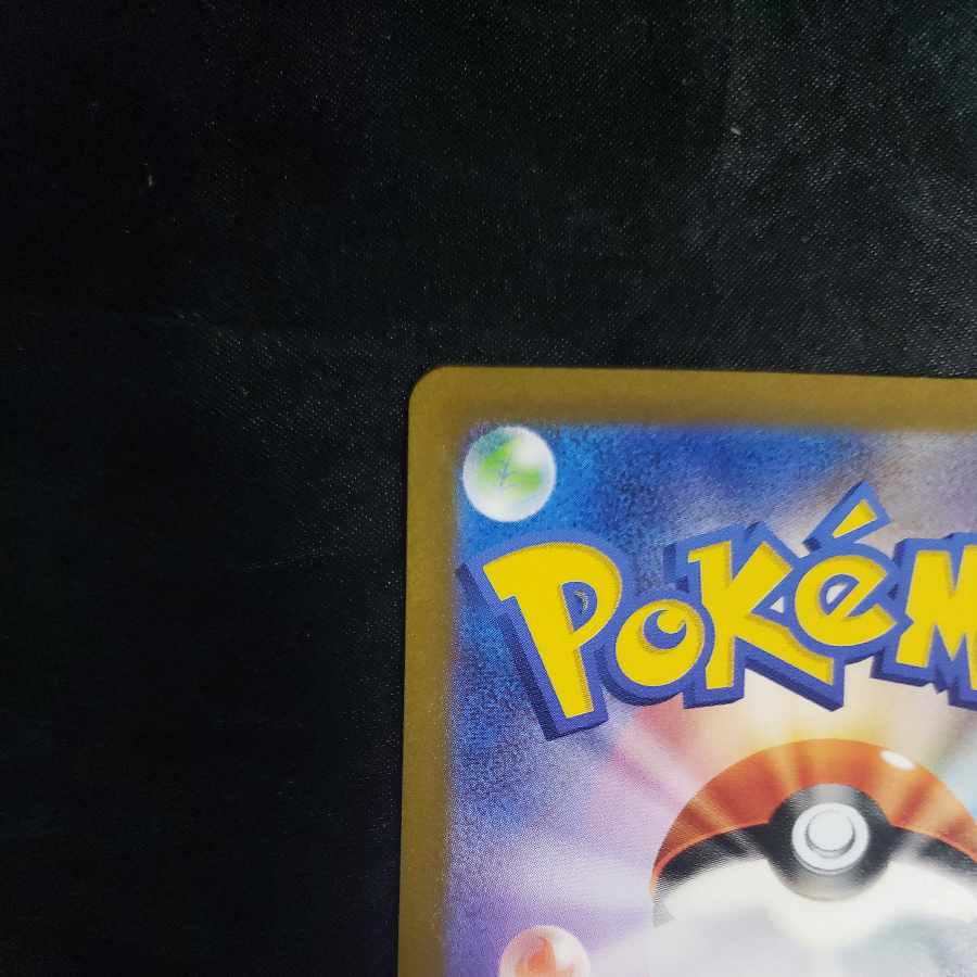 リザード AR 169/165