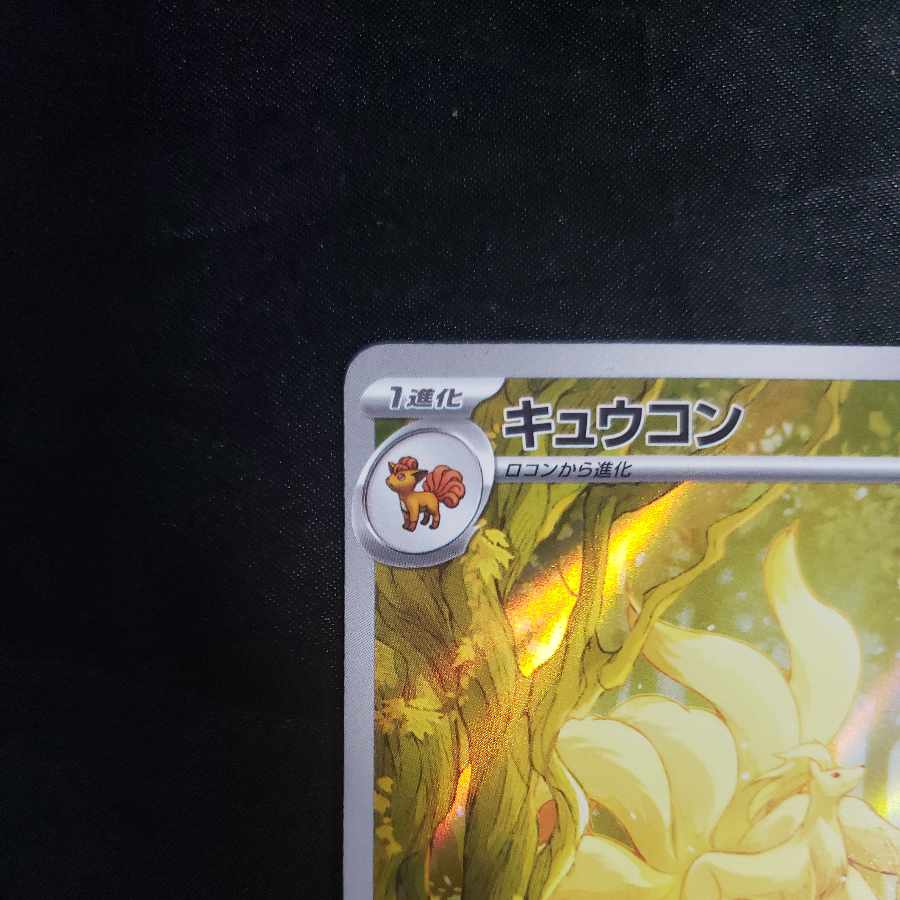 キュウコン AR 110/108