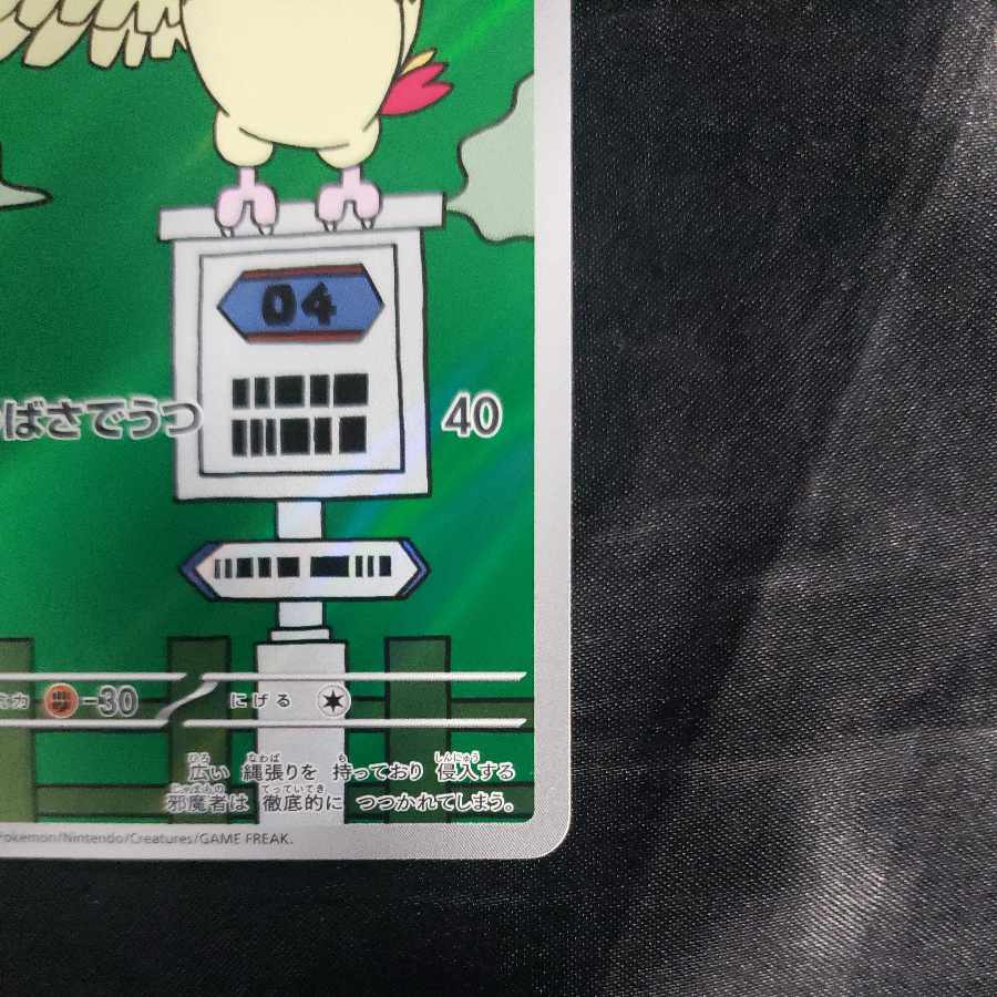 Pidgeotto AR 119/108