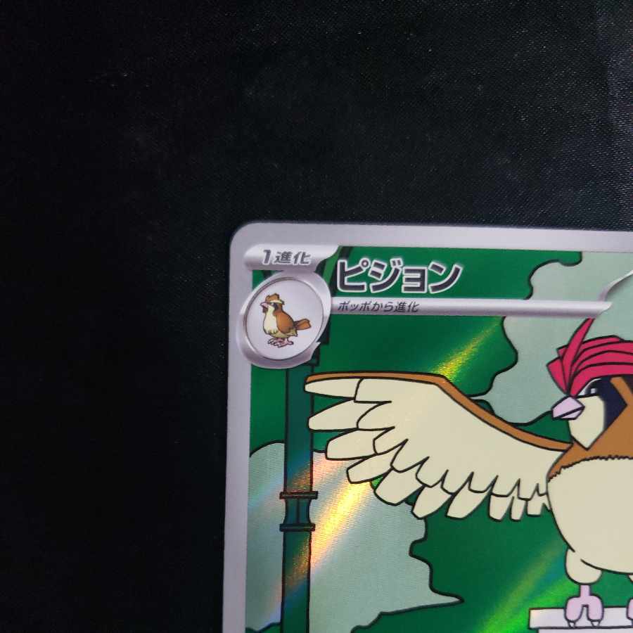 Pidgeotto AR 119/108