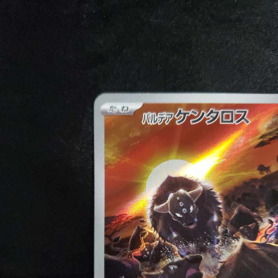 Pardea Tauros AR 084/073