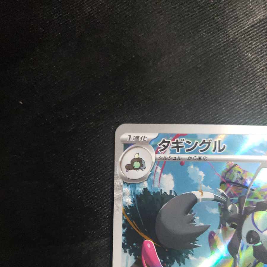 Taggingle AR 080/071