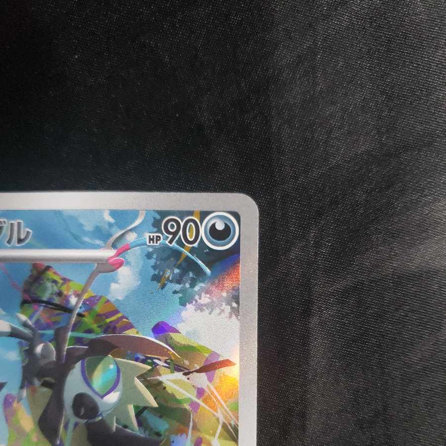 Taggingle AR 080/071