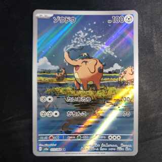 ゾウドウ AR 073/064