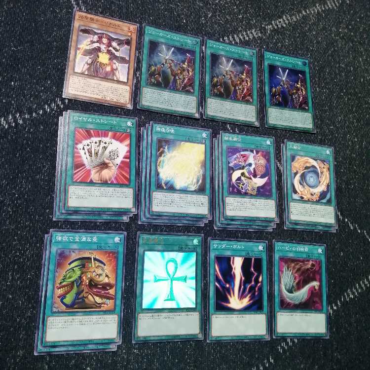 Yu-Gi-Oh Joker's Deck Picture Cards Joker's Straight [03005].