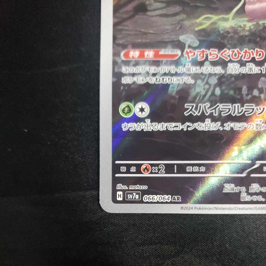 Shiinotic AR 066/064