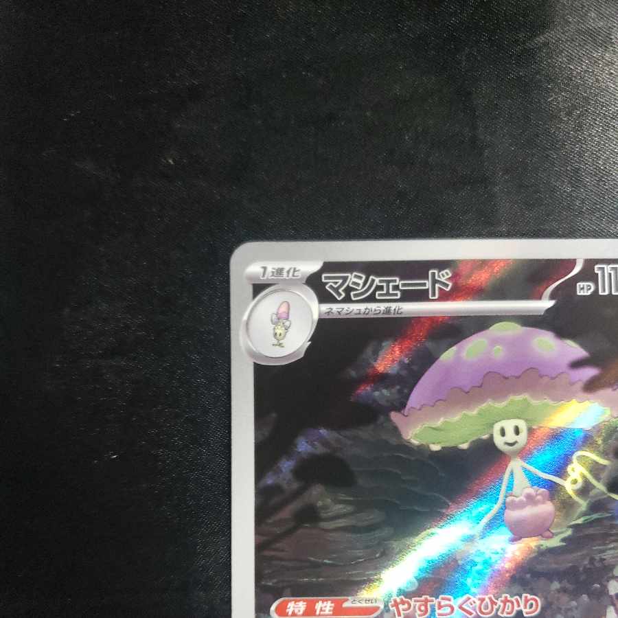 Shiinotic AR 066/064