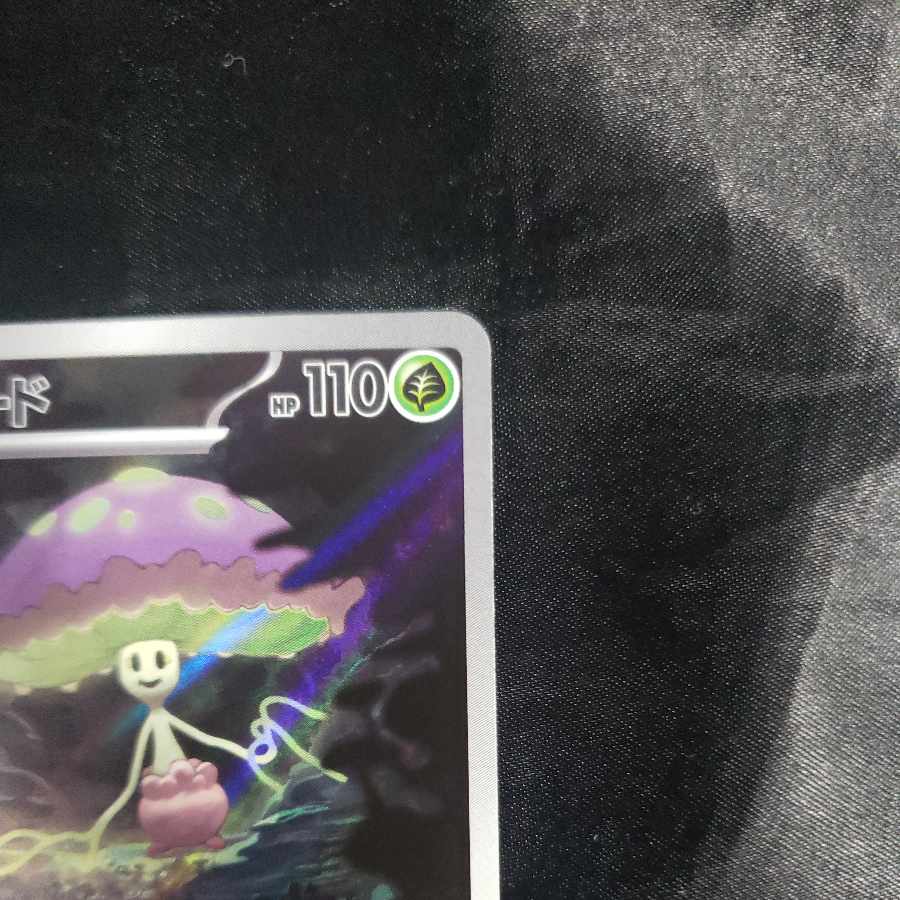 Shiinotic AR 066/064