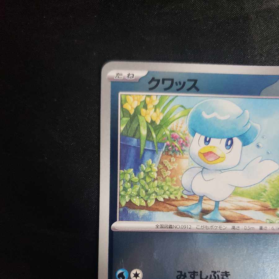 Kwassu PROMO 215/SV-P