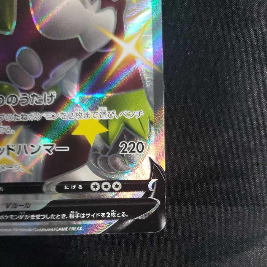 RillaboomV SSR 304/190