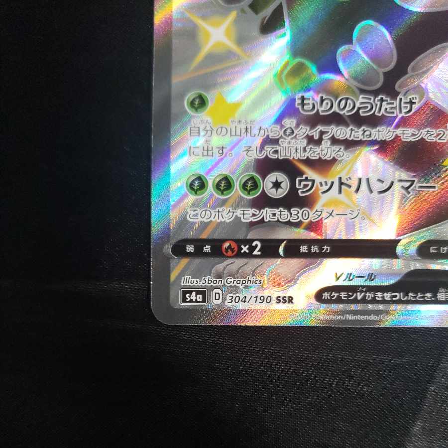 RillaboomV SSR 304/190