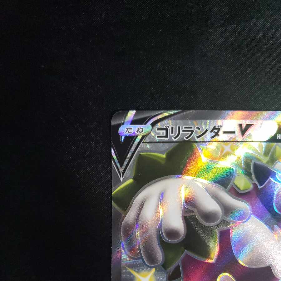 RillaboomV SSR 304/190