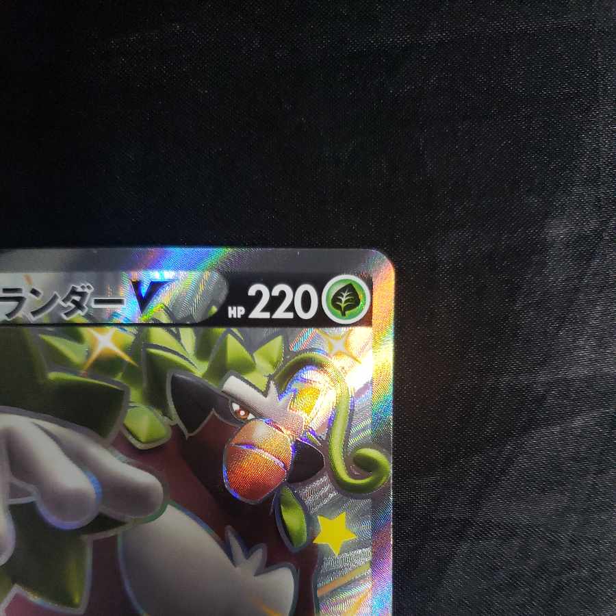 RillaboomV SSR 304/190