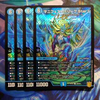 マニフェスト ＜リーフ.Star＞ SR S2/S11