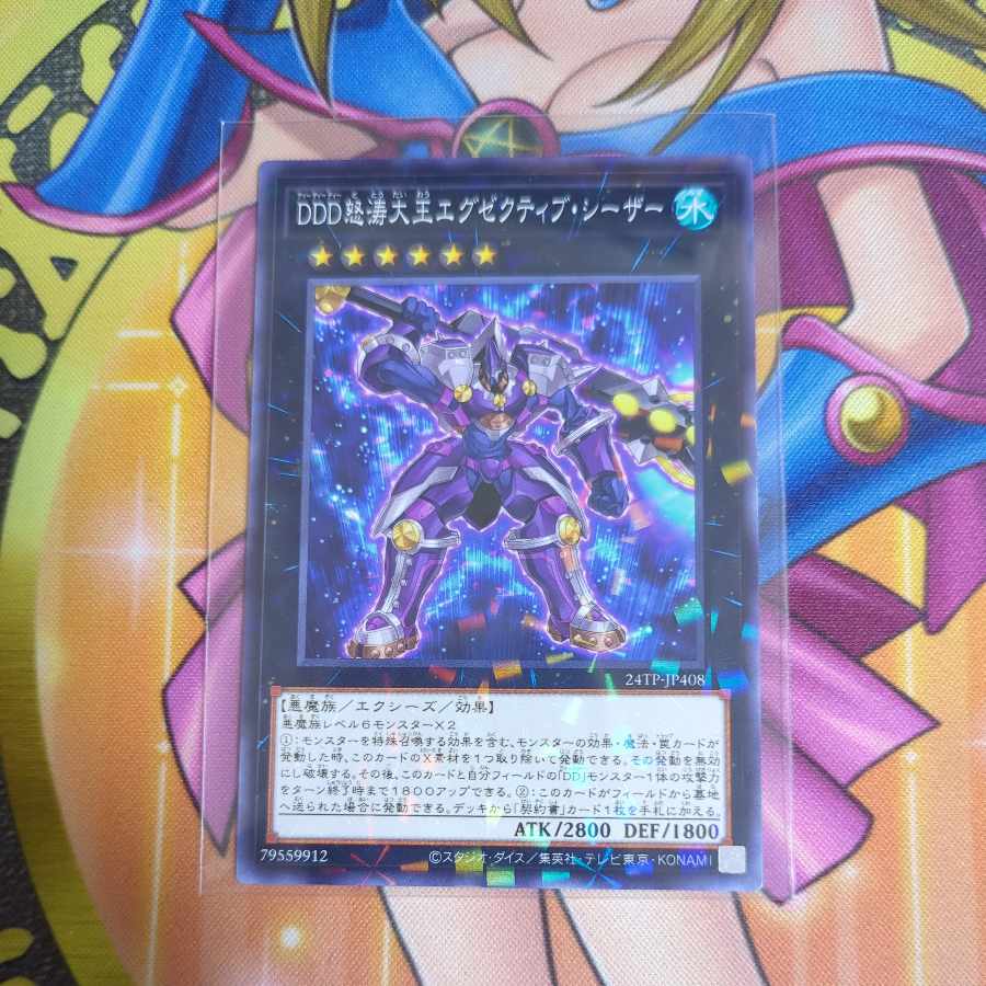 DDD怒涛大王エグゼクティブ・シーザー パラレル 24TP-JP408