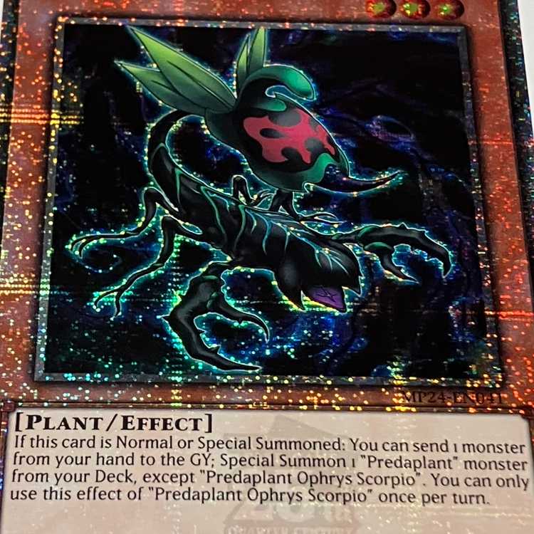 Predaplant Ophrys Scorpio English EU version MP24 QCSCR 25th