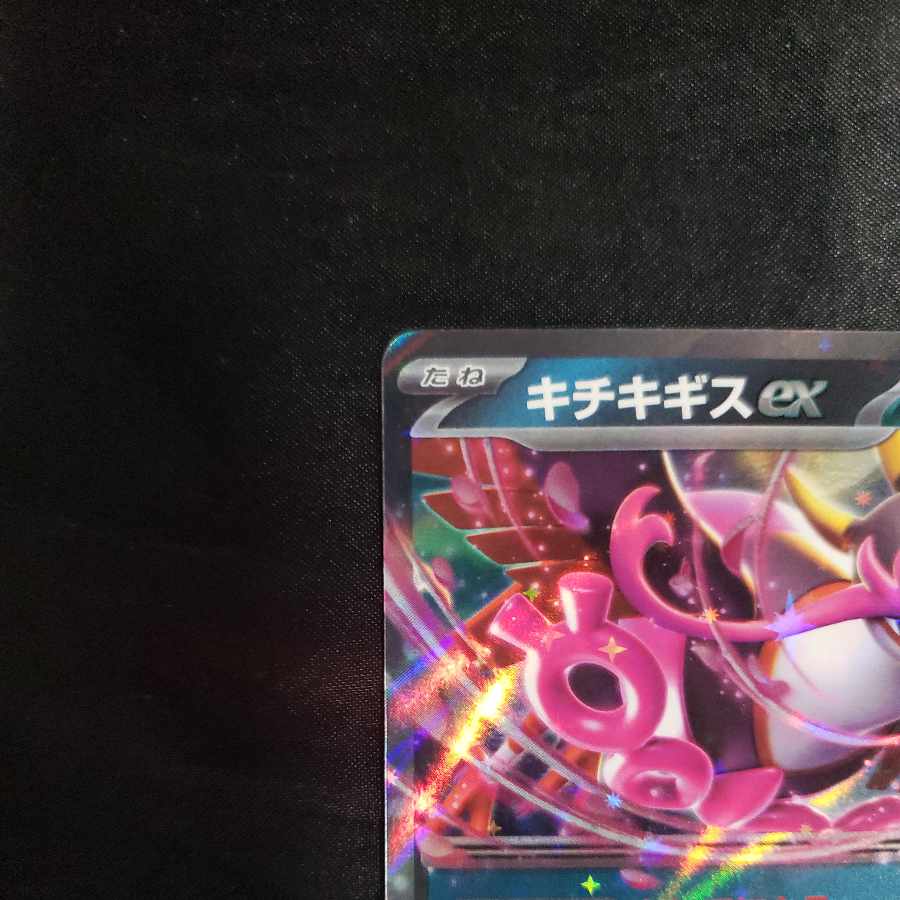 キチキギスex RR 038/064