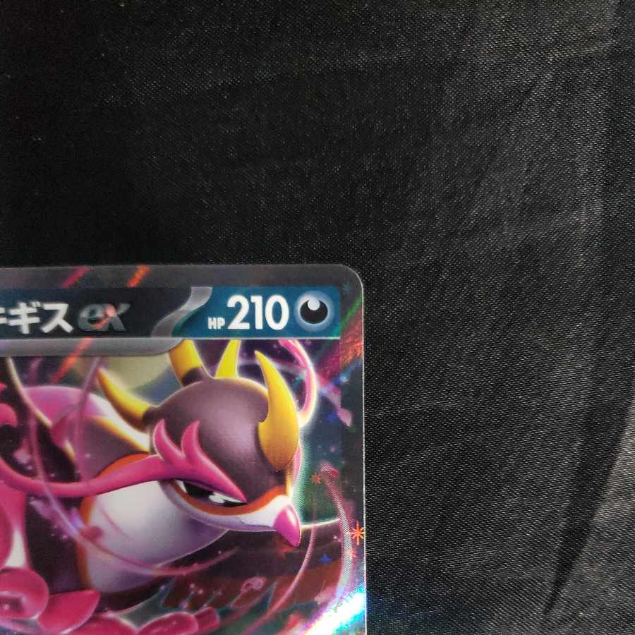 キチキギスex RR 038/064