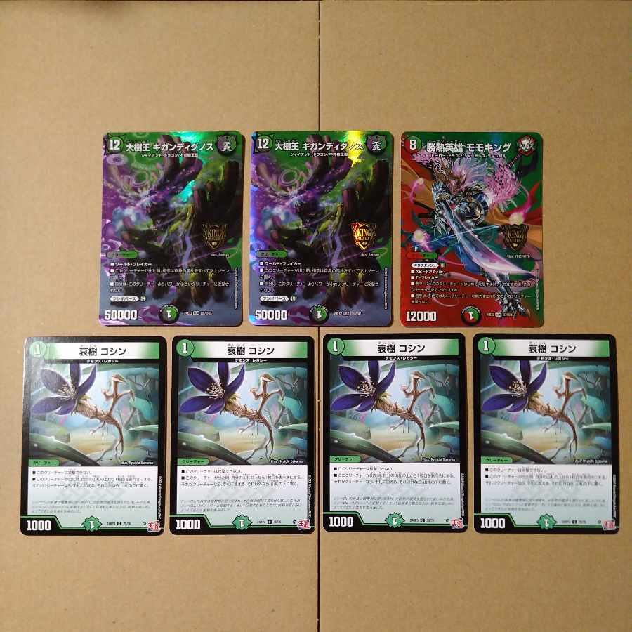 Exclusive for turtles