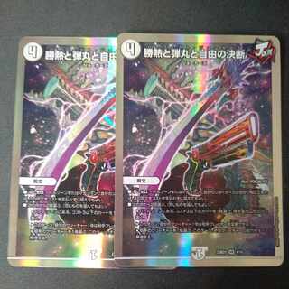 勝熱と弾丸と自由の決断 VR 2枚セット