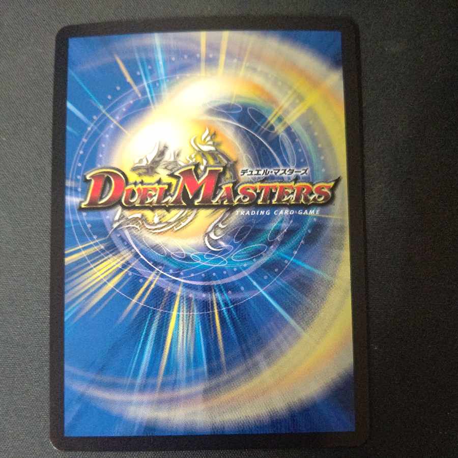 瞬閃と疾駆と双撃の決断 VR