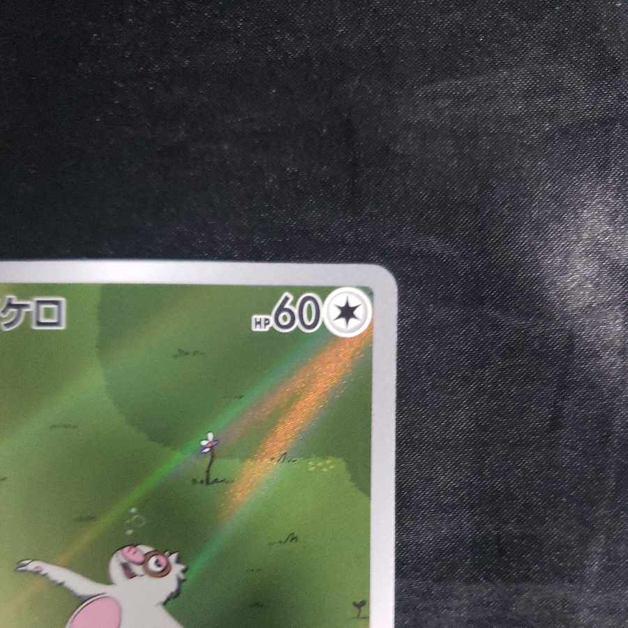 ナマケロ AR 117/106