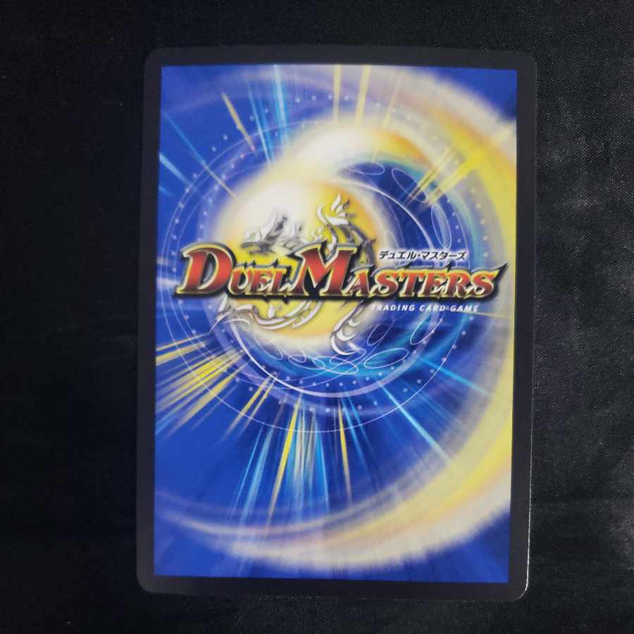 Willide Gorgini SR S1/S8