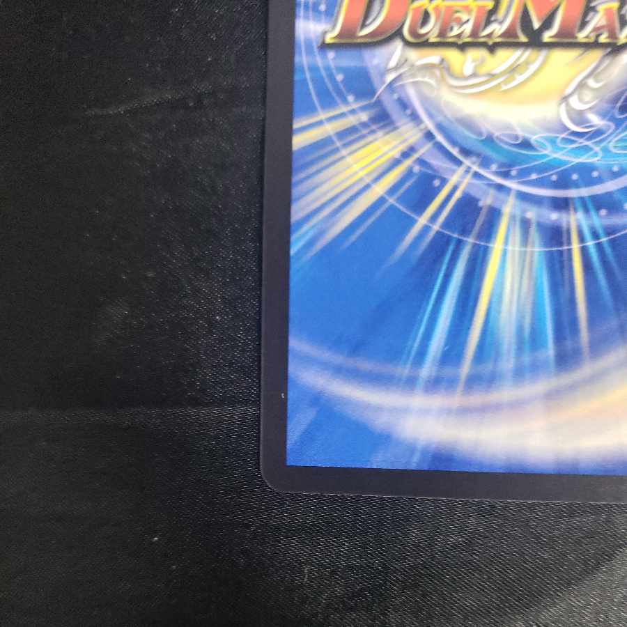 Willide Gorgini SR S1/S8