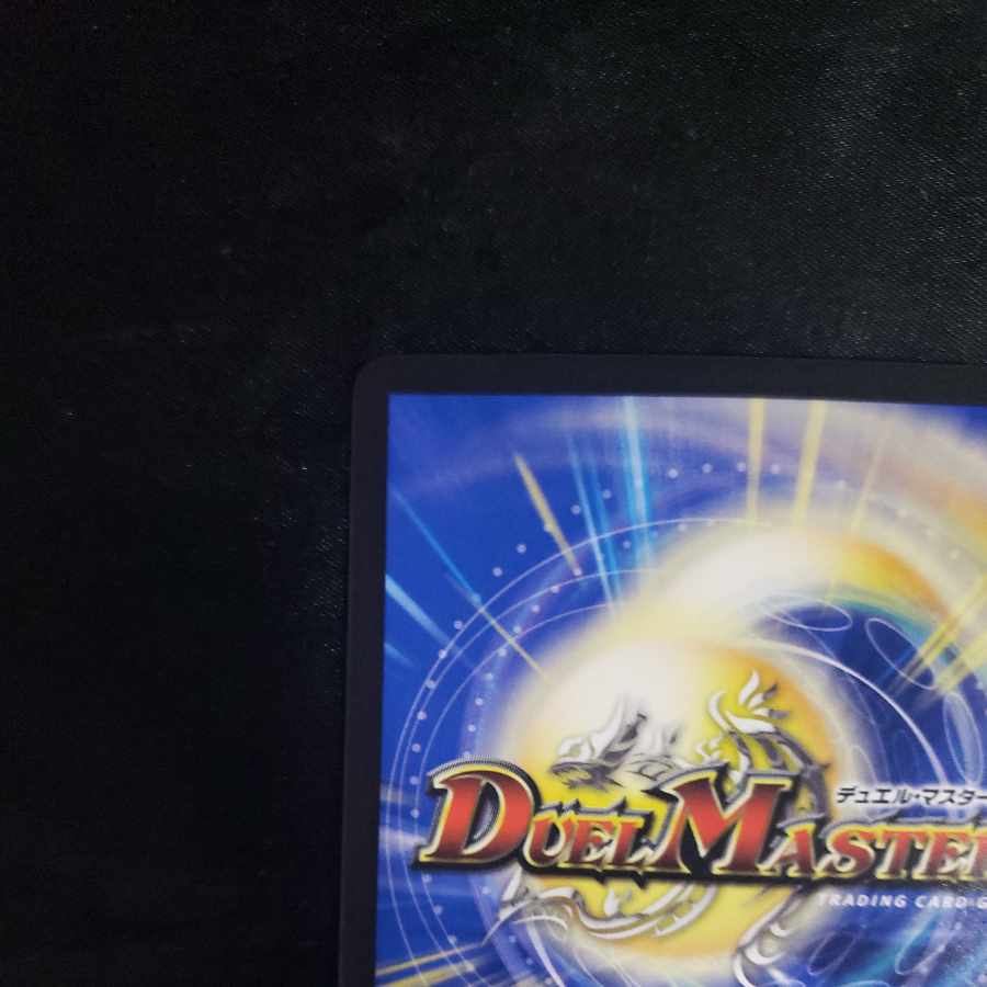 Willide Gorgini SR S1/S8