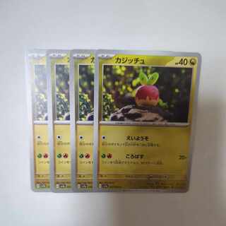 カジッチュ C 045/064