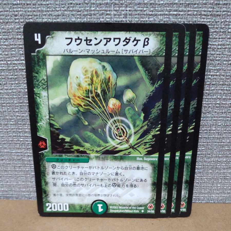 フウセンアワダケβ U 34/55【管理記号c】