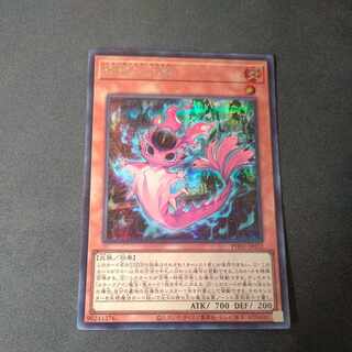Snake-eyed Fire phosphorus Secret Rare PHNI-JP012
