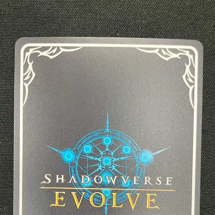 シャドウバースエボルヴ スカイセイバー・リーシャ(UR)