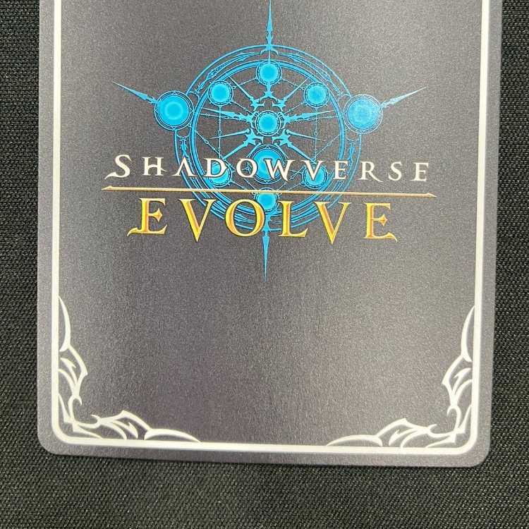 シャドウバースエボルヴ スカイセイバー・リーシャ(UR)