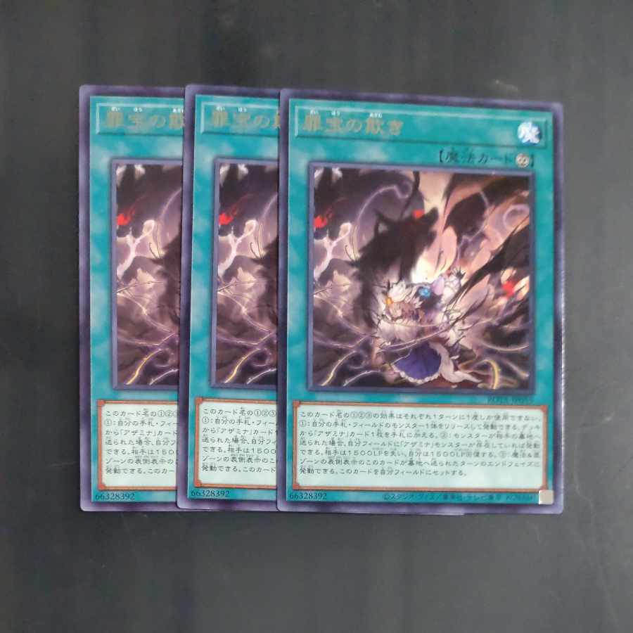 罪宝の欺き レア ROTA-JP055✕３　【木林堂】