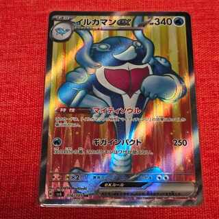 イルカマンex SR 116/101