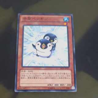 Puny Penguin Normal rare JP037 [Korindo