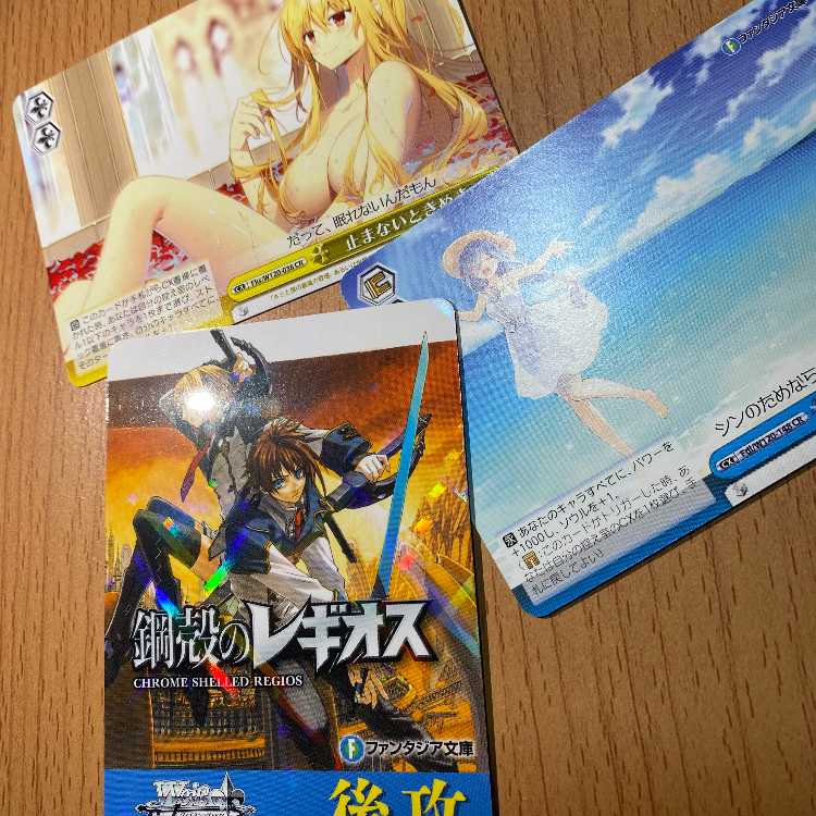 Fujimi Fantasia Bunko Vol.2 (Metal Shell Legios) + 2 extra copies