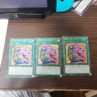 強欲で貪欲な壺 UL