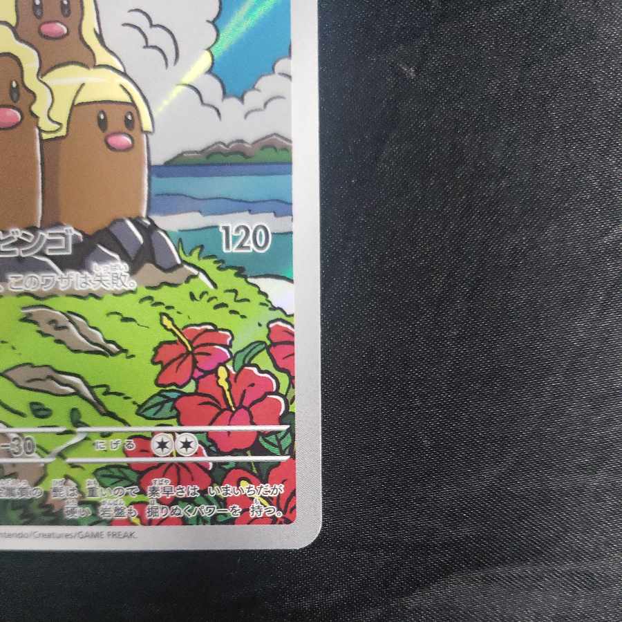 Allora Dugtrio AR 116/106