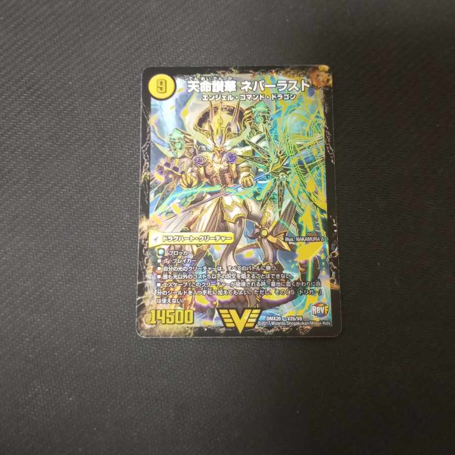 天獄の正義 ヘブンズ・ヘブン｜天命讃華 ネバーラスト VIC