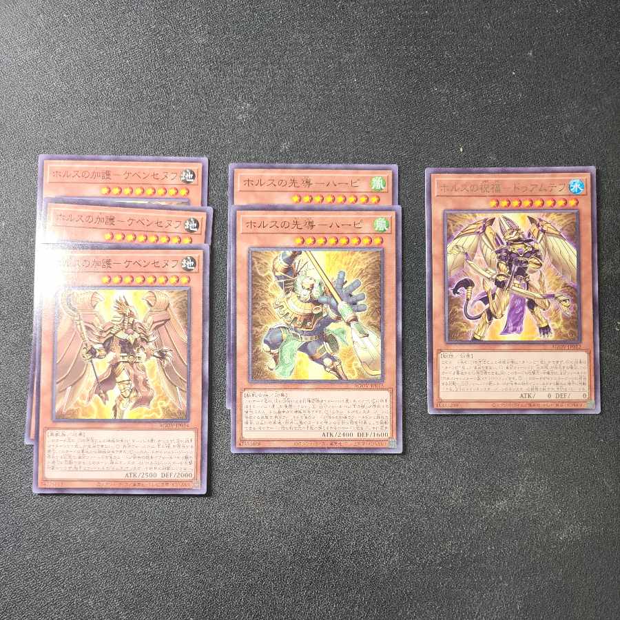 【ストレージ処分品】ホルスセット