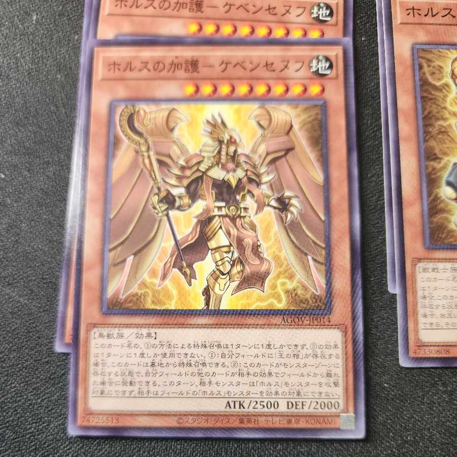 【ストレージ処分品】ホルスセット