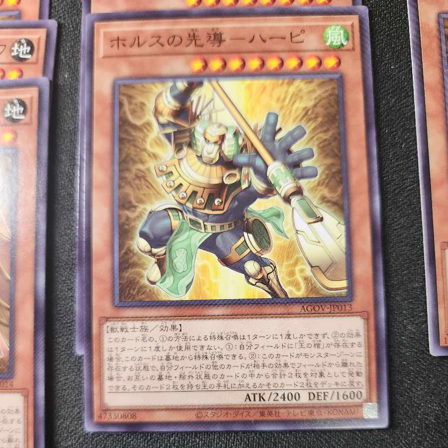 【ストレージ処分品】ホルスセット