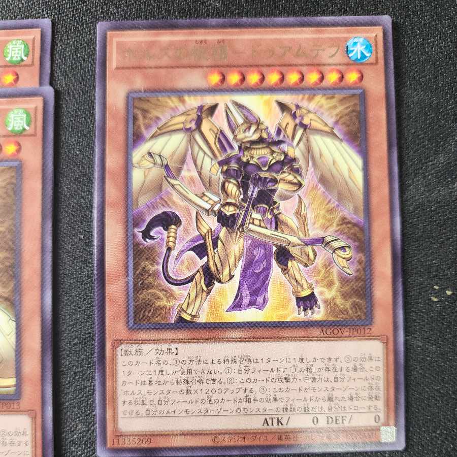 【ストレージ処分品】ホルスセット