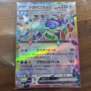 テラパゴスex RR 088/102 1枚