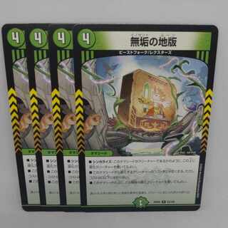 無垢の地版 R 53/100