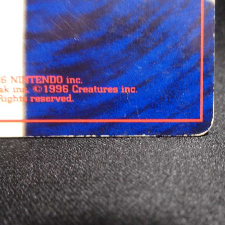 Hikaru Charizard Old Back No.006